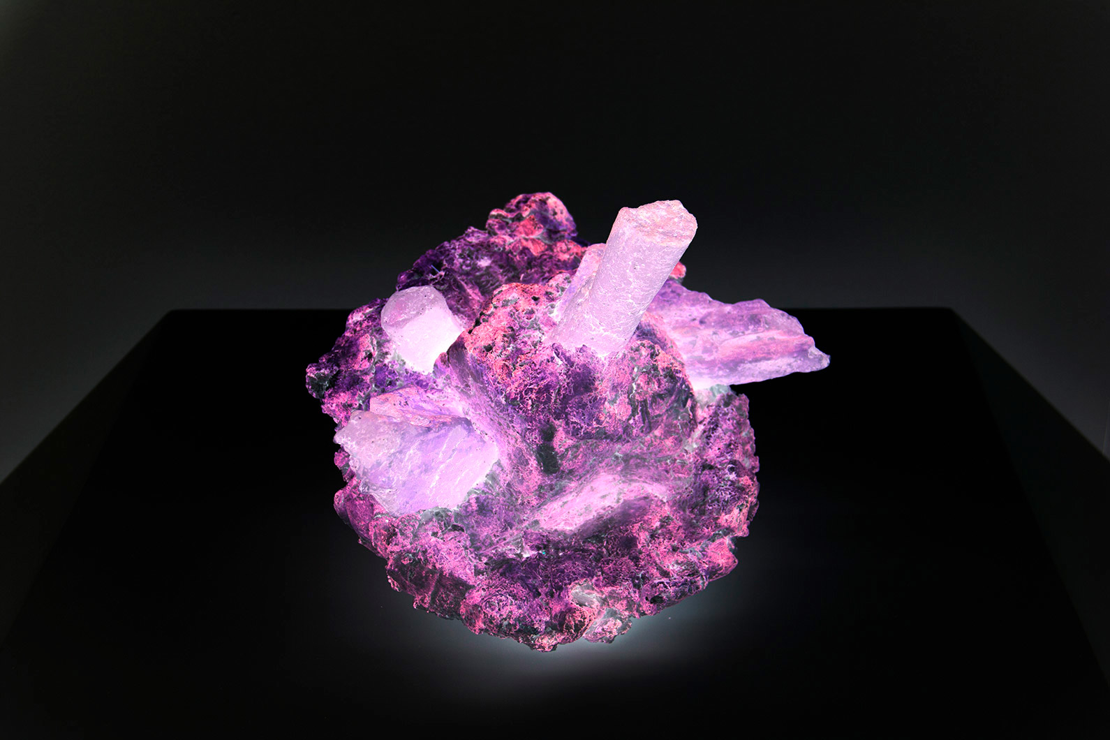 Lumenoscope view